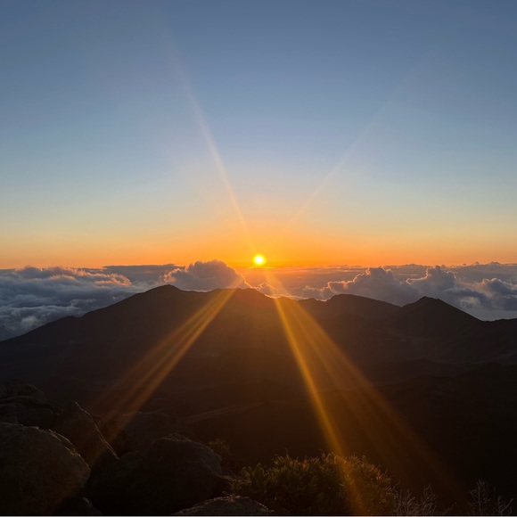 selling clothes - Picture 1 of 1